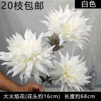 Букет огромных махровых одуванчиков, белый