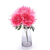 букет огромных хризантем 5 голов розовый