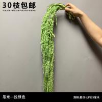 амарант светло-зеленый