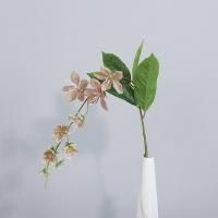 ампельный морозник опт 10 штук  бежевый