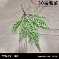 папортоник зеленый