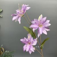 лилия тройная светло-фиолетовый