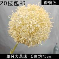 опт 10 штук одуванчик кремовый