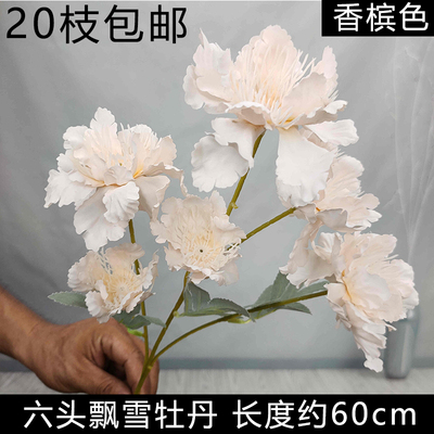 мак 6 голов шампань