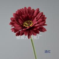 гербера бордовая