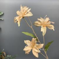 лилия тройная кофейный