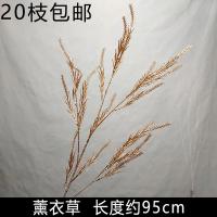 лаванда золото