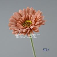 гербера темная пудра