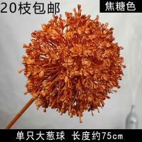 опт 10 штук одуванчик карамельный