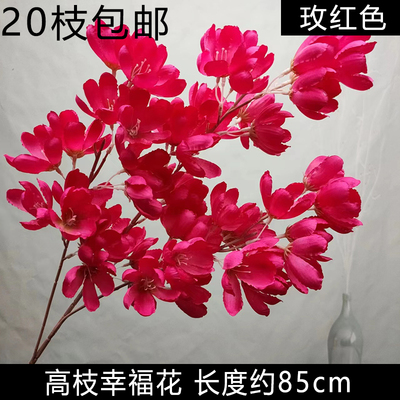 колокольчик кустовой фуксия