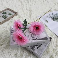 тройная гербера розовая