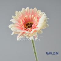 гербера светло-розовая