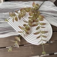 эвкалипт 5 шт оливково-зеленый