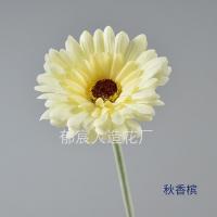 гербера желтая