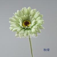 гербера светло-зеленая