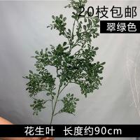 10 штук ветка арахиса зеленый