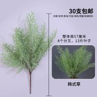 львиный зев светло-зеленый