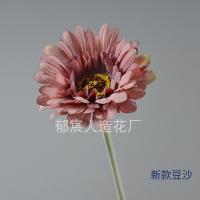 гербера винная