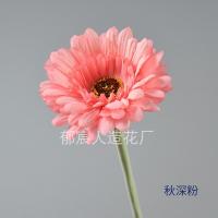 гербера розовая