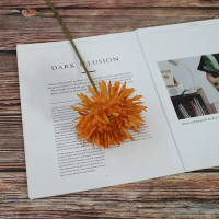 гербера одиночная оранжевый