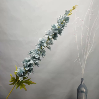 длинный дельфиниум серо-голубой