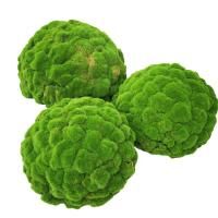 полусфера из мха 2 шт зеленая 30