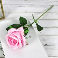 одиночная роза светло-розовая