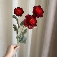 премиум ранункулюс бордовый