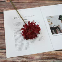 гербера одиночная бордовый