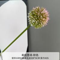 одуванчик бело-розовый