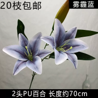 лилия двойная серо-голубая