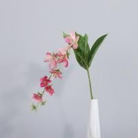 ампельный морозник опт 10 штук  розовый