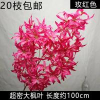 клен мини фуксия