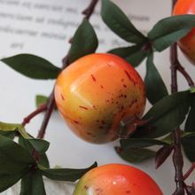 ветка граната опт 10 штук