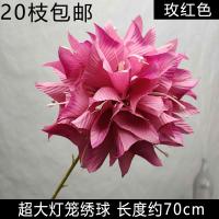 остролистная гортензия фуксия