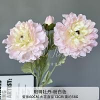 пион черная середина бело-розовый