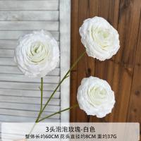 пузырьковая роза белая