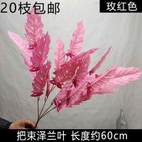 зелландия светлая фуксия