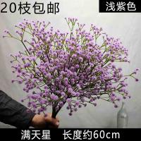 10 штук опт гипсофила светло-фиолетовый