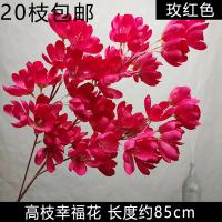 колокольчик кустовой фуксия