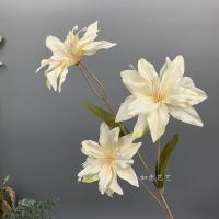 лилия тройная шампань