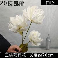 букет пионов белый