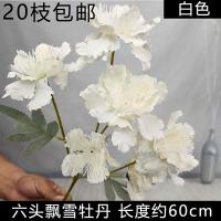 мак 6 голов белый