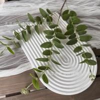 эвкалипт 5 шт зеленый