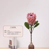 протея оранжевая