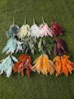 Листья акации белые