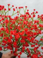 10 штук опт гипсофила красный