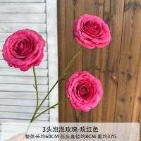 пузырьковая роза фуксия