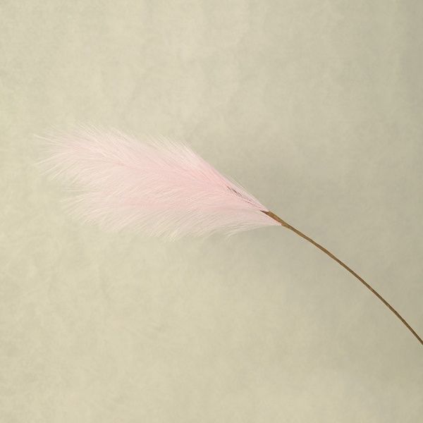 Пампасная трава опт 10 штук светло-розовая