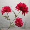 хризантема трехголовая фуксия